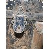 Image 8 : 19th Century Steamer Trunk with Interior Tray and Decorative Lithograph
