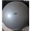Image 5 : Fischer Skis, Poles, Inline Skates, Bell Exercise Ball & More 