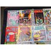 Image 2 : 15 Good Quality Comics Mostly on Board in Bag