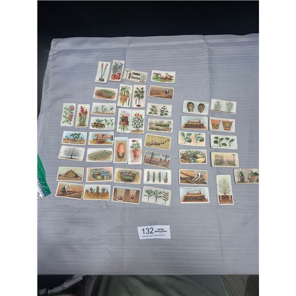 Lot of 36 1926 Do You Know 11 Series 3 and 25 series 4 H.O. Willis Cigarette Cards
