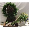 Image 1 : COLLECTION OF CHINTZ AND COMPANY SILK PLANTS AND