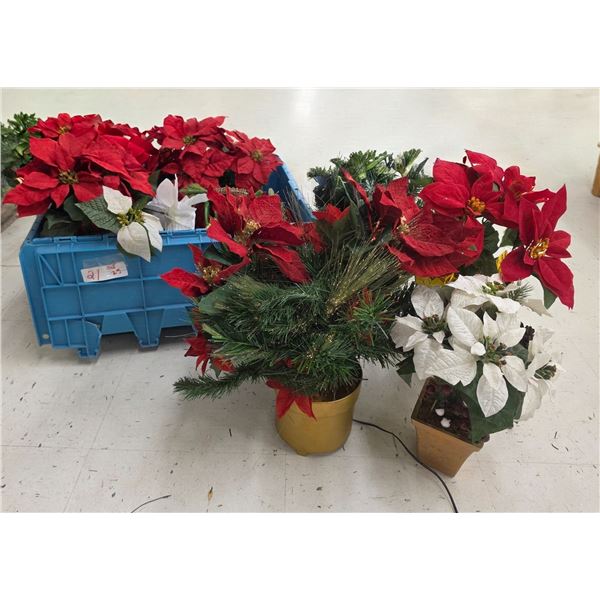 Lot of Christmas Poinsettias etc.