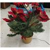 Image 2 : Lot of Christmas Poinsettias etc.