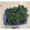 Image 4 : Large Lot of Christmas Garlands etc.