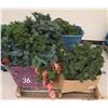 Image 1 : Large Lot of Christmas Garlands etc.