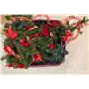 Image 2 : Large Lot of Christmas Garlands etc.