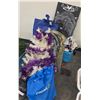 Image 1 : Lot of Halloween Décor, etc.