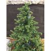 Image 3 : 6’ Christmas Tree w/ Lights – Working
