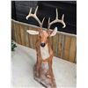 Image 3 : Cement Deer Statue – 4’ Tall **VERY HEAVY