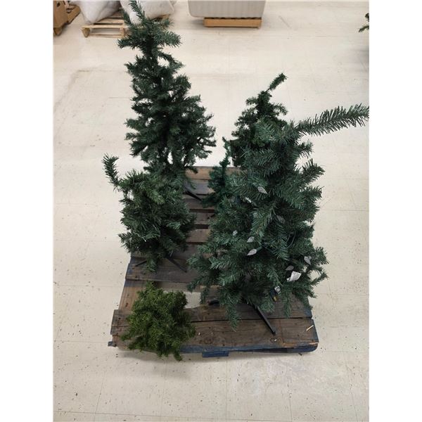 Lot of Small Christmas Trees