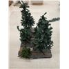 Image 1 : Lot of Small Christmas Trees