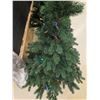 Image 3 : 6’ Christmas Tree w/ Lights – Working