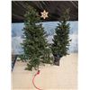 Image 1 : (2) 5’ Christmas Trees w/ Lights