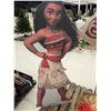 Image 2 : Moana Lot – Raft, Flag, Character Display, Costume, etc.