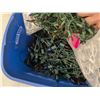 Image 3 : Large Bin of Christmas Lights