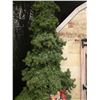 Image 3 : 10’ Christmas Tree w/ Lights