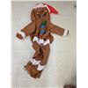 Image 1 : Blow-Up Gingerbread Costume – Works