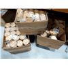 Image 3 : LOT DE BOÎTES DE GOBELETS EN CARTON DOUBLE PAROI CAMBIUM, FORMATS ASSORTIS (4OZ, 8OZ, 12OZ, 16OZ)