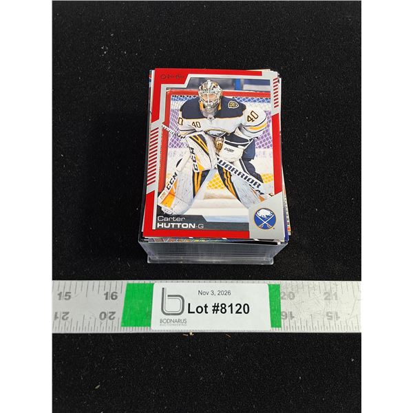 Collection of Hockey Cards-Goalies Only-cannot authenticate