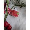 Image 4 : Christmas/Winter Decor