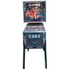Image 1 : 1978 Bally Playboy Pinball Machine