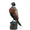 Image 1 : Early Pheasant Mount Display