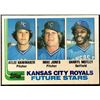 Image 1 : 1982 TOPPS ATLEE HAMMAKER ROOKIE CARD