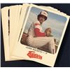 Image 1 : 1981 MiLB RED ROOSTER EDMONTON TRAPPERS TEAM SET