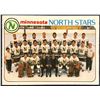 Image 1 : 1978-79 O-PEE-CHEE NHL MINNESOTA NORTH STARS