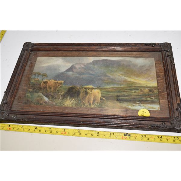 Highland Cattle Framed Picture