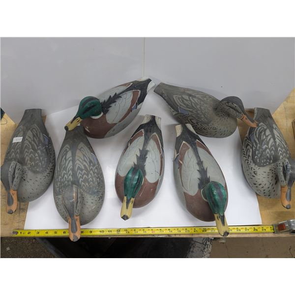 (7) Plastic Duck Decoys