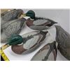 Image 4 : (7) Plastic Duck Decoys