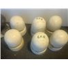 Image 2 : CNR and CP insulators