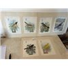 Image 1 : Collection Singer Sewing Birds