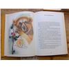 Image 7 : German Books, some religious, Fairy Tale Book, German Cookbook