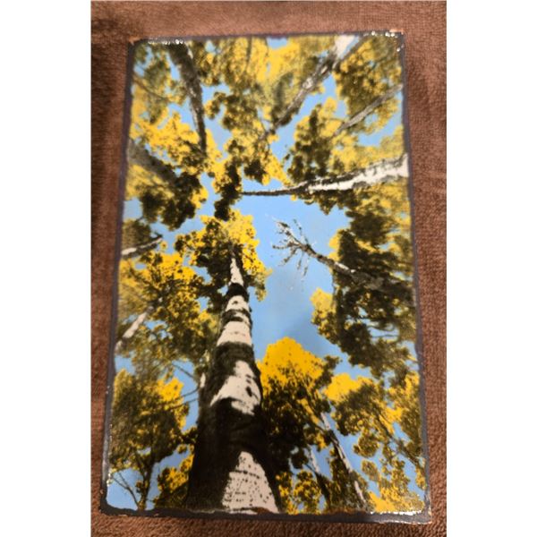 Houston Llew - Spiritile - 208 Depth Perception, handcrafted glass on copper wall art piece.  Albert