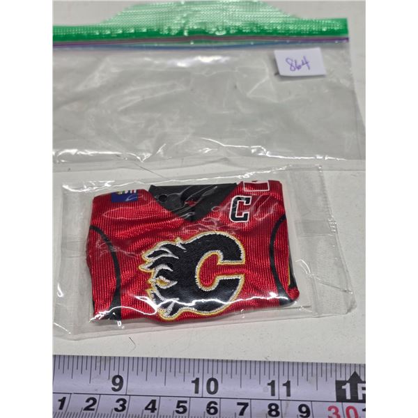Jarome Iginla Sealed Upper Deck Mini Jersey