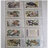 Image 2 : 1957/60 Brooke Bond Tea Cards (UK)