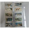 Image 3 : 1959/60/63 Brooke Bond Tea Cards (Canada)