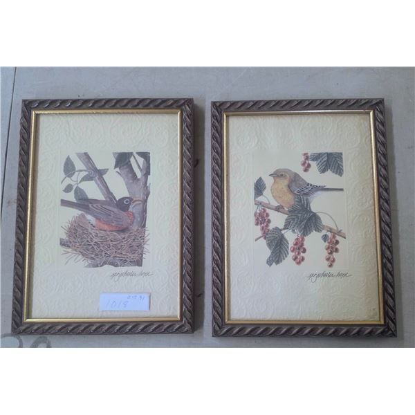 (2) Framed Bird Pictures