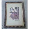 Image 2 : (2) Framed Bird Pictures