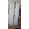 Image 1 : Vintage 80” Cross Country Skis