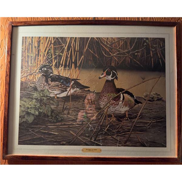 Willem S. De Beer "Wood Duck" Framed Print of Waterfowl Scene