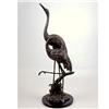 Image 1 : Courting Crane Couple