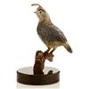 Image 1 : California Quail on Marble Bas
