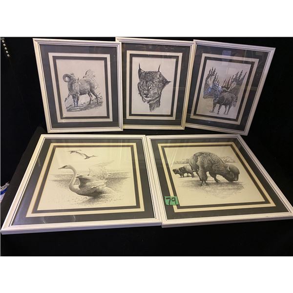 5 Framed animal prints