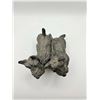 Image 4 : Cast Metal Pair of Scottish Terrier Dog Bookends or Statue