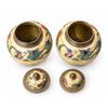 Image 6 : Painted Lidded Brass Jars With Floral And Butterfly Motifs