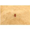 Image 2 : Devel Corporation Red Enamel Pin Tie Tack With Protective Plastic Case