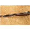 Image 10 : Remington Model 12 .22 S L LR 22" Slide-Action Rimfire Rifle, MFD 1912-1921 C&R
